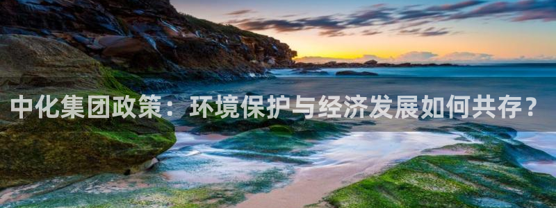 亿万先生是男是女：中化集团政策：环境保护与经济发展如何共存？