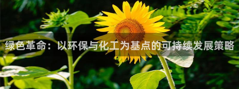 亿万先生手游下载安装：绿色革命：以环保与化工为基点的可持续发展策略