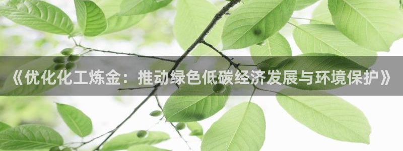亿万先生客户端怎么下载：《优化化工炼金：推动绿色低碳经济发展与环境保护》