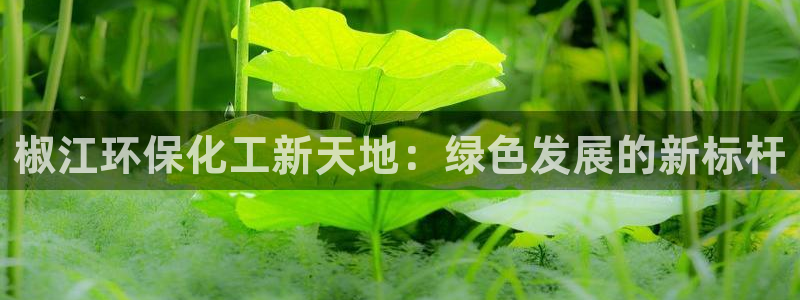 亿万先生现在的网址谁知道：椒江环保化工新天地：绿色发展的新标杆