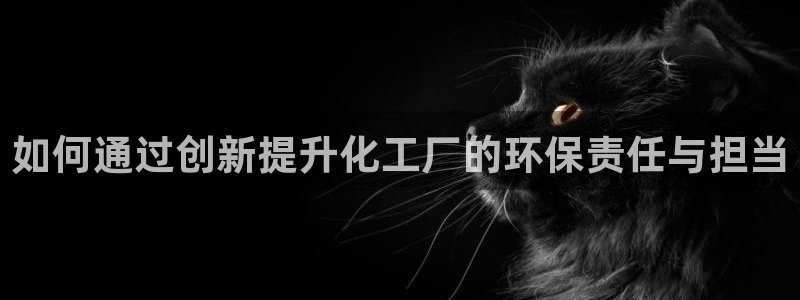 亿万先生合并网址是多少：如何通过创新提升化工厂的环保责任与担当