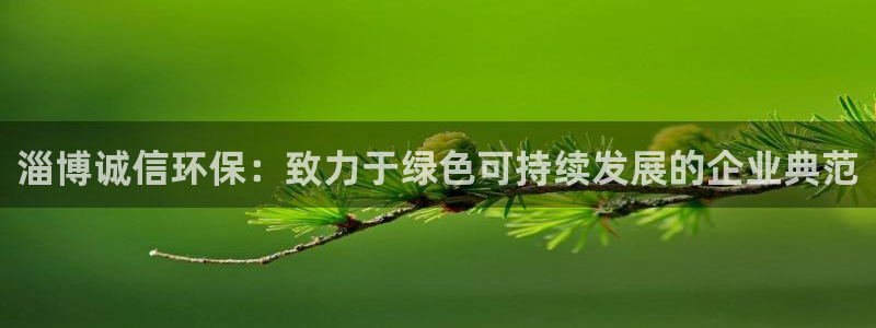 亿万剧情详解：淄博诚信环保：致力于绿色可持续发展的企业典范