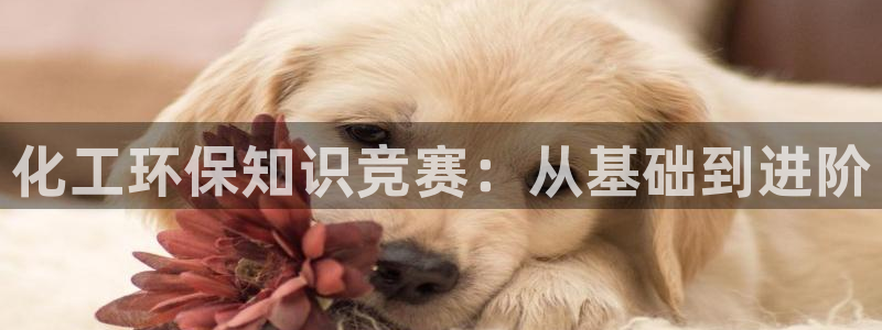 亿万客户端：化工环保知识竞赛：从基础到进阶