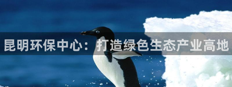 亿万剧情介绍：昆明环保中心：打造绿色生态产业高地