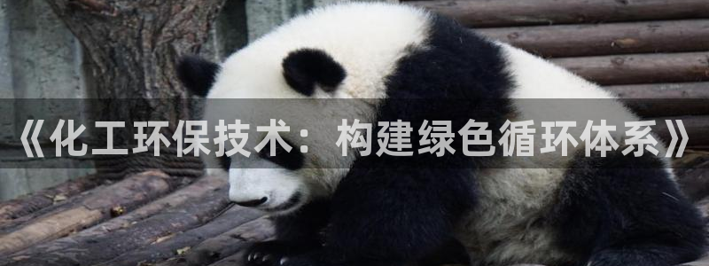 亿万先生官方网站客户端下载安装手机版：《化工环保技术：构建绿色循环体系》