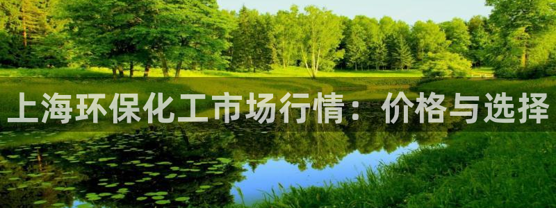 mr003亿万先生：上海环保化工市场行情：价格与选择