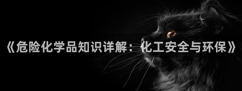 亿万第一集：《危险化学品知识详解：化工安全与环保》