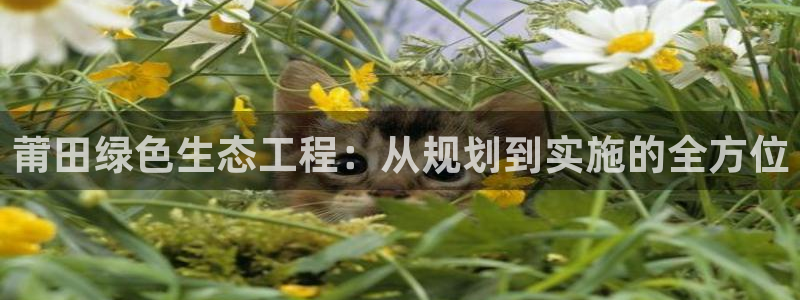 亿万先生网页版登录：莆田绿色生态工程：从规划到实施的全方位