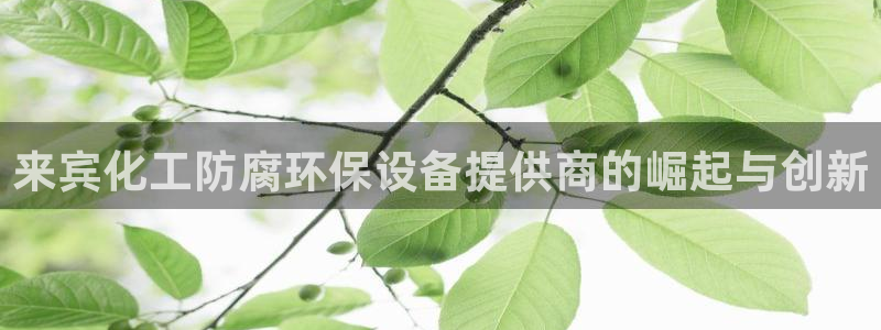 亿万先生 手机版下载最新版：来宾化工防腐环保设备提供商的崛起与创新