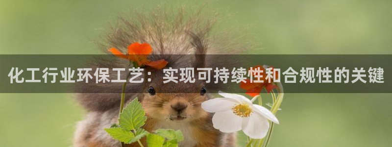 亿万先生手机版客户端下载安装：化工行业环保工艺：实现可持续性和合规性的关键