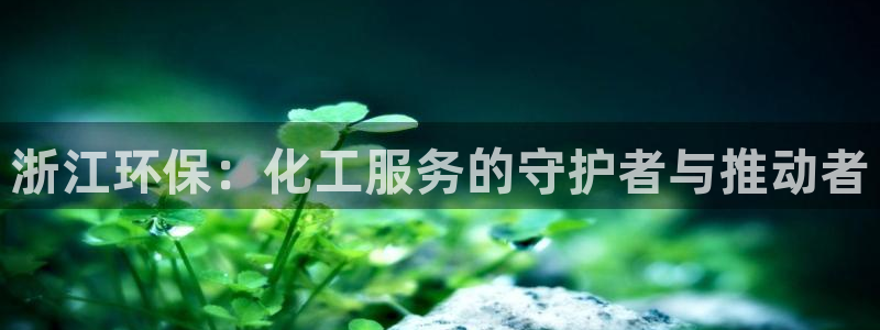 亿万先生MR - 亿万先生mr008cc：浙江环保：化工服务的守护者与推动者