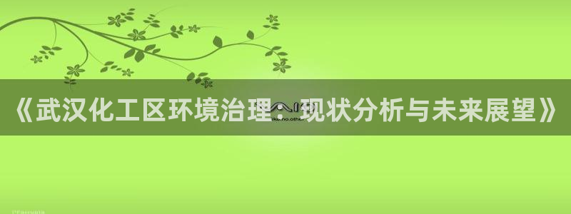 亿万先生客户端下载：《武汉化工区环境治理：现状分析与未来展望》