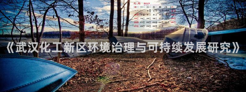 亿万先生客服联系：《武汉化工新区环境治理与可持续发展研究》