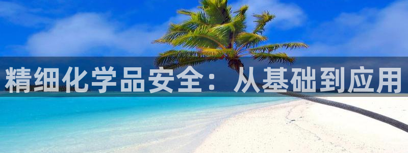 亿万万作者：精细化学品安全：从基础到应用