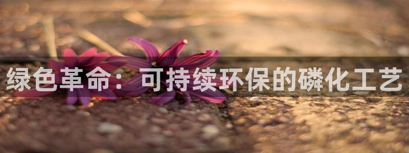亿万先生网址改了吗：绿色革命：可持续环保的磷化工艺