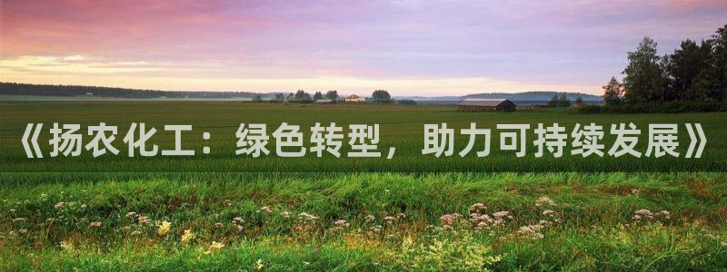 亿万先生官方网站客户端下载安装手机版：《扬农化工：绿色转型，助力可持续发展》