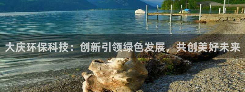 亿万国际游戏官网手机版：大庆环保科技：创新引领绿色发展，共创美好未来