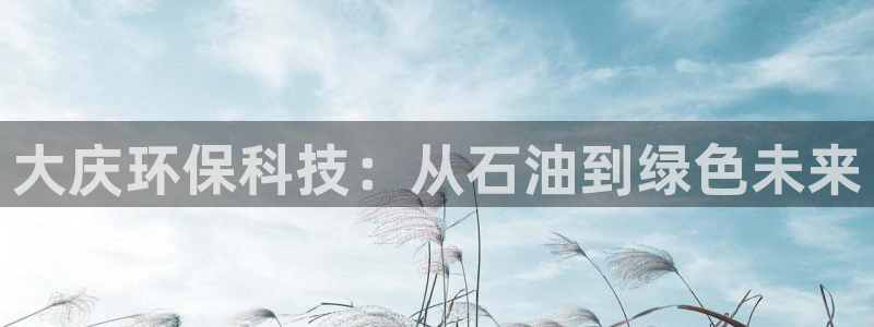 亿万先生网页版：大庆环保科技：从石油到绿色未来