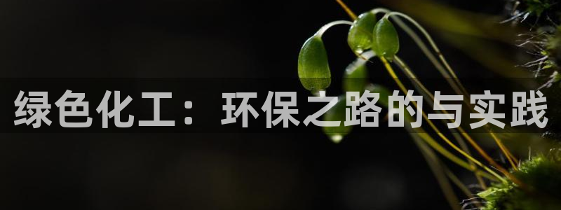 亿万 在线：绿色化工：环保之路的与实践