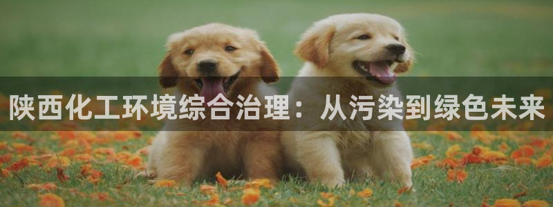 亿万第一集：陕西化工环境综合治理：从污染到绿色未来