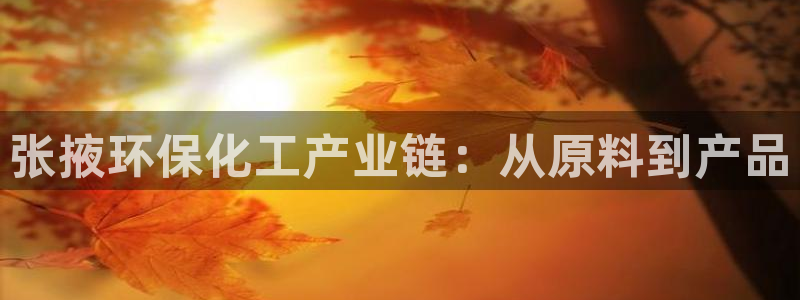 亿万先生客户端官网登录不上：张掖环保化工产业链：从原料到产品