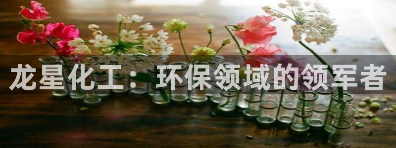 亿万剧情介绍：龙星化工：环保领域的领军者