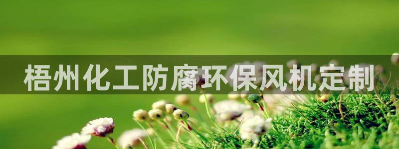 亿万下载第三季：梧州化工防腐环保风机定制