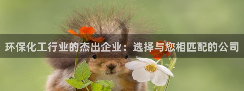 亿万番外：环保化工行业的杰出企业：选择与您相匹配的公司