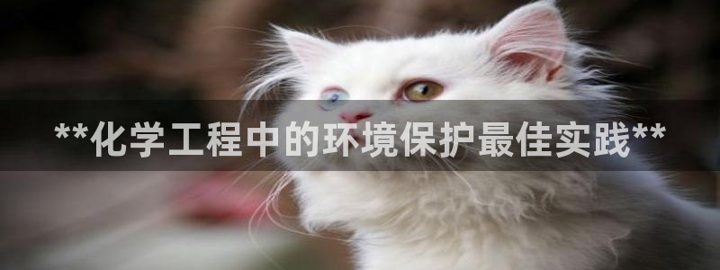 亿万网友在线实时为你解答：**化学工程中的环境保护最佳实践**