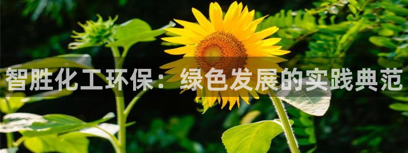 亿万先生官方网站客户端下载安装手机版：智胜化工环保：绿色发展的实践典范