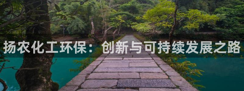 亿万先生网站下载：扬农化工环保：创新与可持续发展之路
