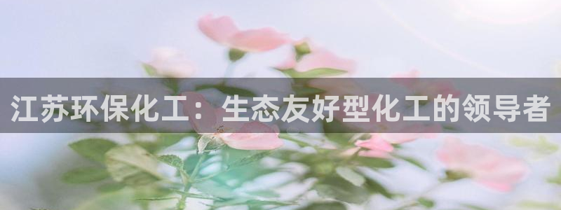亿万先生mr：江苏环保化工：生态友好型化工的领导者