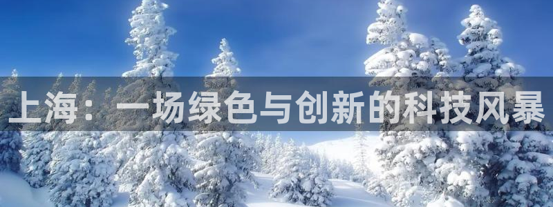 亿万官网：上海：一场绿色与创新的科技风暴