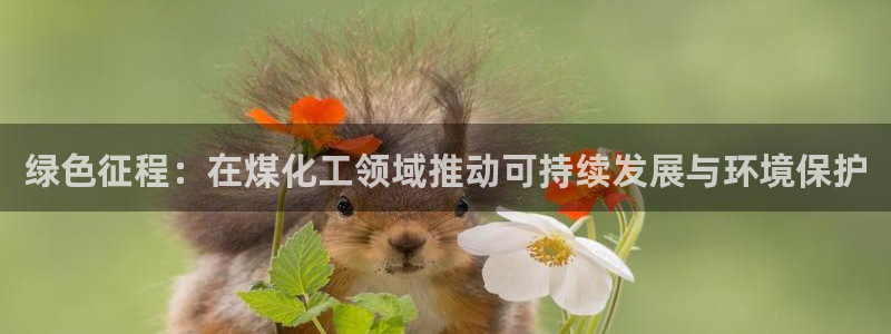 亿万先生 手机版下载安装：绿色征程：在煤化工领域推动可持续发展与环境保护