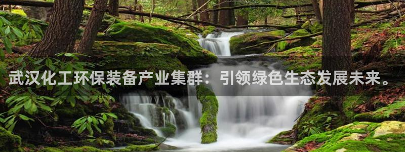 mr07亿万先生：武汉化工环保装备产业集群：引领绿色生态发展未来。