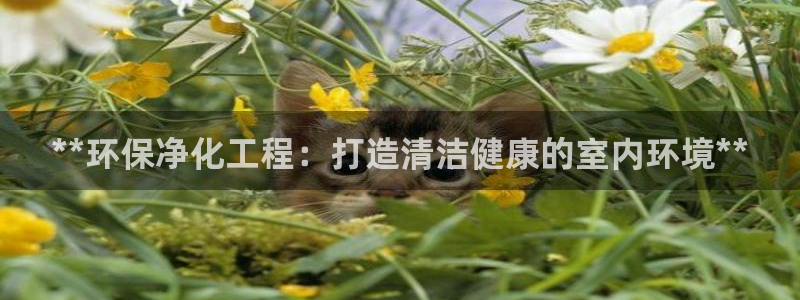 亿万第一季百科：**环保净化工程：打造清洁健康的室内环境**