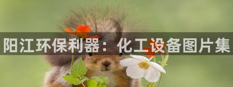 亿万手游官网：阳江环保利器：化工设备图片集